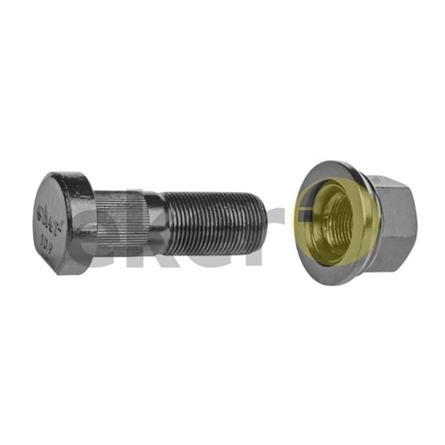 BİJON - 65 MM ÖN FREZELİ MAN TGA