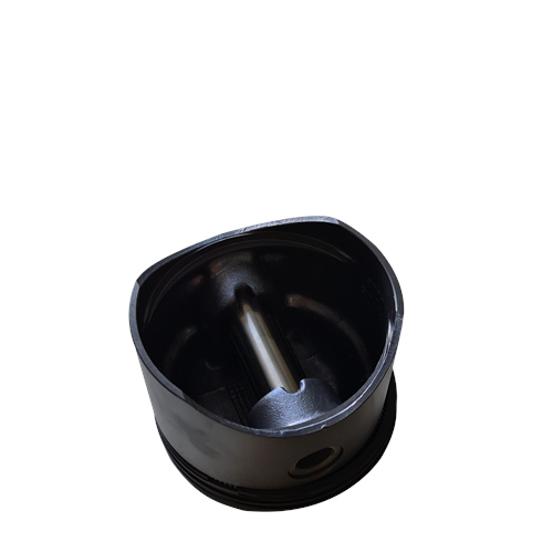 SEGMANLI PİSTON -PRO 624 CARGO 2520L 2524
