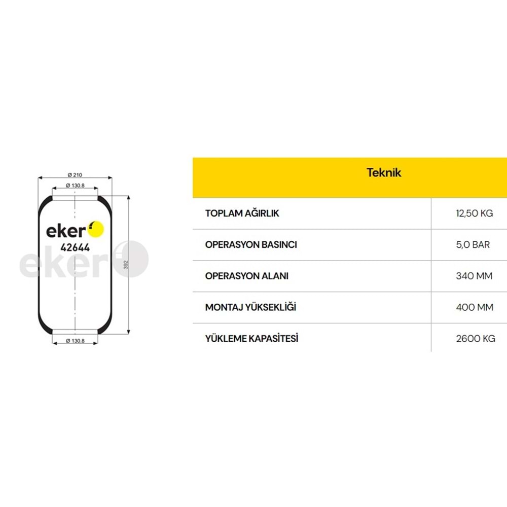 SÜSPANSİYON KÖRÜĞÜ