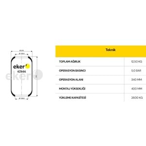 SÜSPANSİYON KÖRÜĞÜ