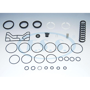 EBS PARK BOŞALTMA ACİL DURUM VALFİ TAMİR TAKIMI