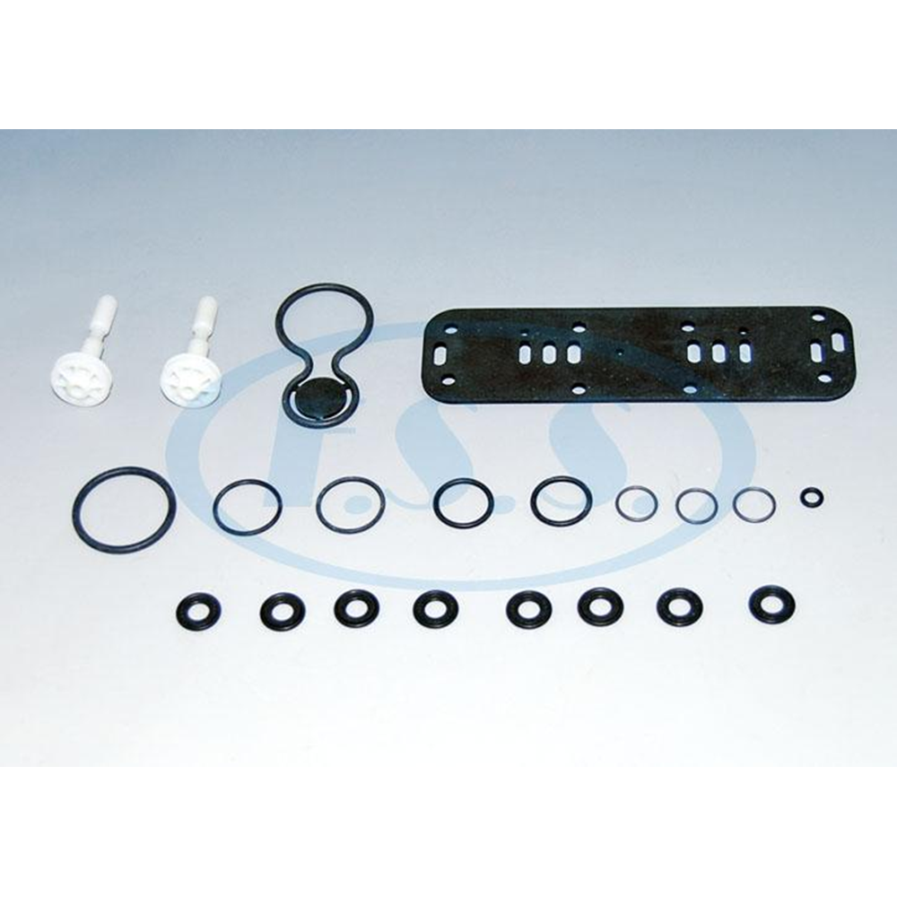 KAPI KONTROL VALFİ TAMİR TAKIMI - 372 060 000 2