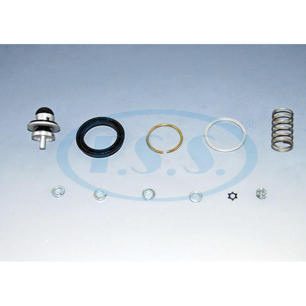 BASINÇ AYAR VALFİ TAMİR TAKIMI