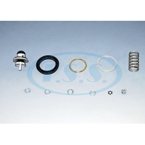 BASINÇ AYAR VALFİ TAMİR TAKIMI