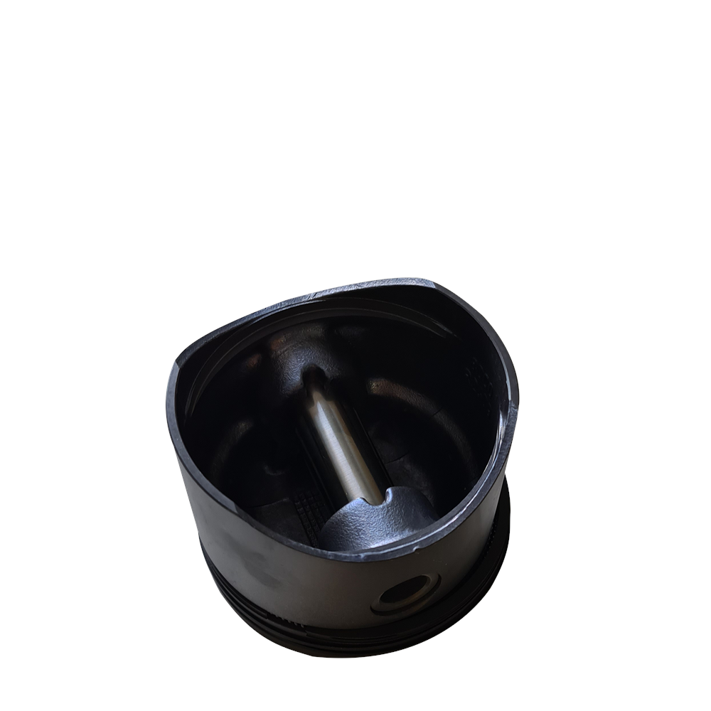 SEGMANLI PİSTON -PRO 624 CARGO 2520L 2524