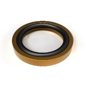 RAKOR ORİNGLİ PUL - M16