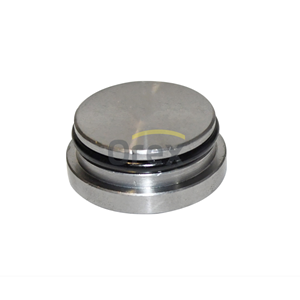 Euro Supap Şapkası Axor 457, Actros